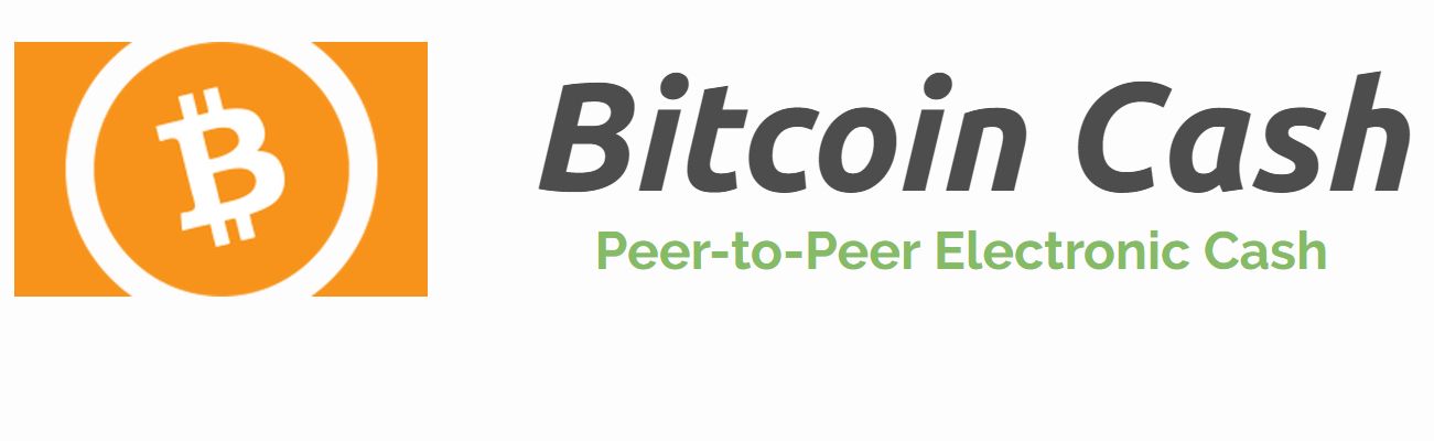 Bitcoin Cash logo