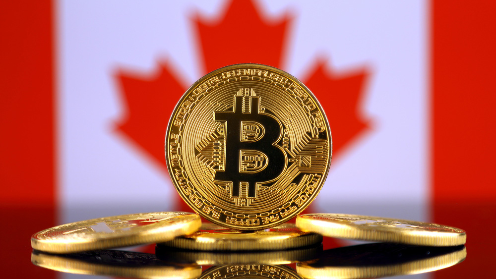 Canada Bitcoin Cash Casino & Sportsbook