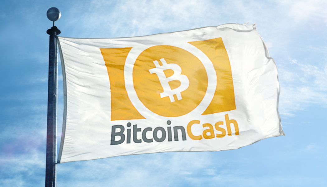 Flag with Bitcoin Cash logo on it